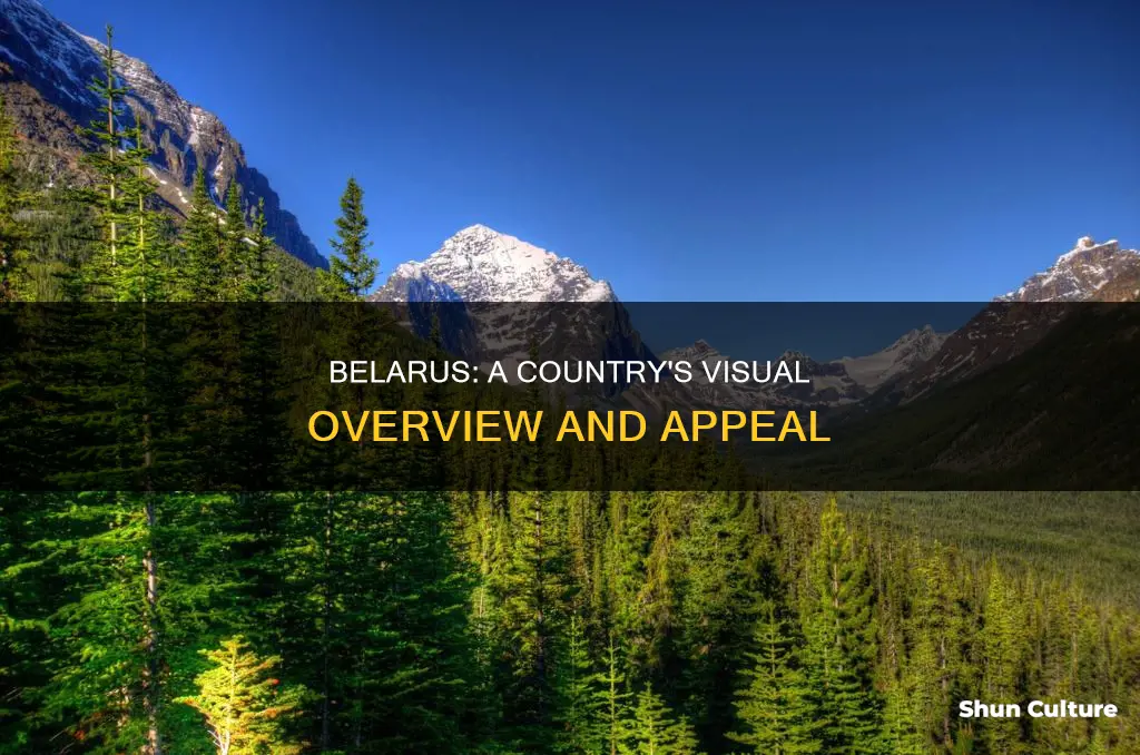 what does belarus look like