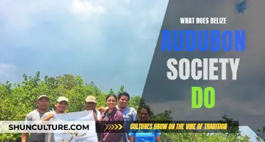 Belize Audubon Society: Protecting Natural Treasures and Educating the Next Generation