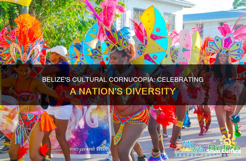 what does belize celebrate