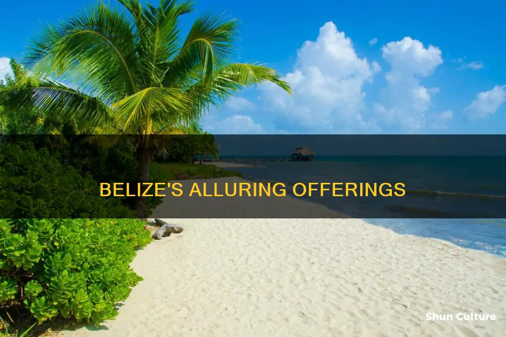 what does belize have to offer