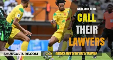 Legal Eagles of Benin: Unveiling the Unique Title for Lawyers in West Africa