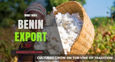 Exploring Benin's Export Economy: Key Commodities and Trade Insights