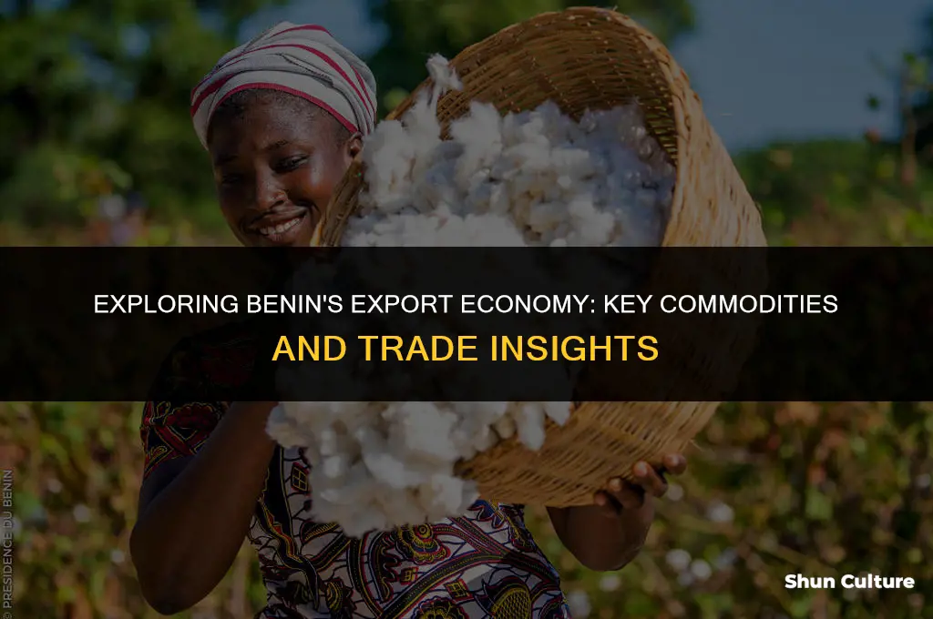 what does benin export