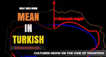 Decoding Cultural Nuances: Understanding "Benin" in Turkish Context