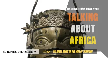 Unveiling the Rich Cultural Tapestry: What 'Benin' Means in Africa