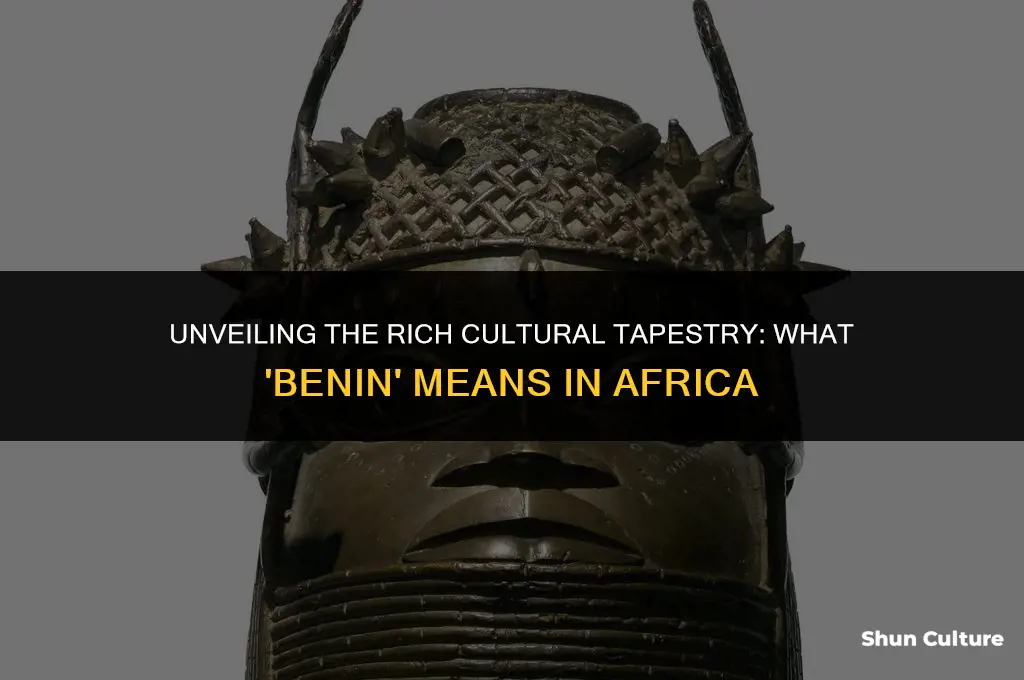 what does benin mean when talking about africa