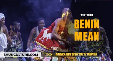 Unveiling the Rich Cultural Tapestry: What Does Benin Mean?