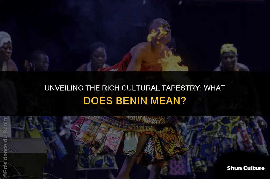 what does benin mean