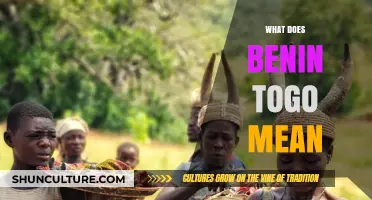 Exploring the Meaning Behind 'Benin Togo': A Cultural Journey
