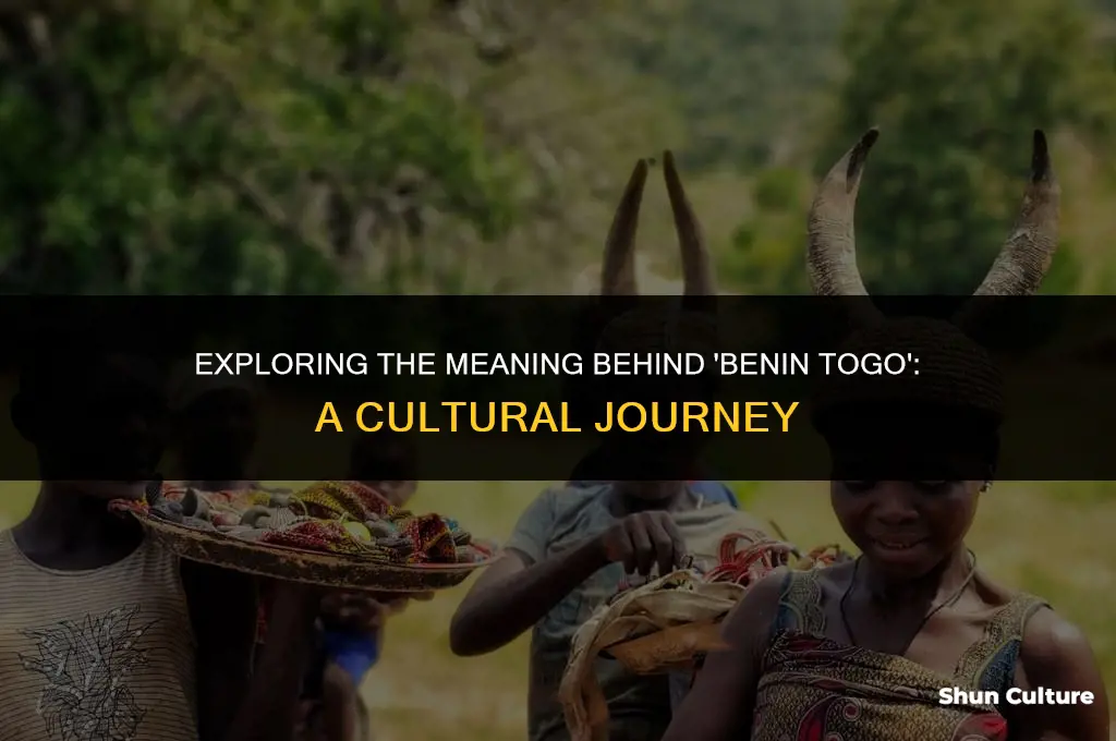 what does benin togo mean