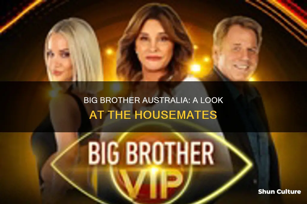 what does big brother look like australia