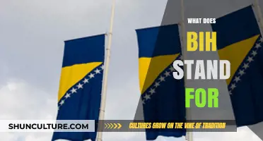Unraveling the Meaning: What Does BIH Stand For and Its Significance