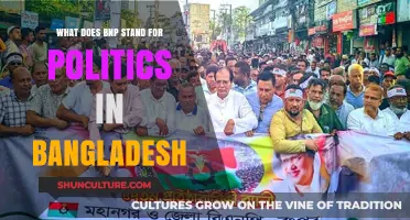 Understanding BNP: Bangladesh Nationalist Party's Role in Politics