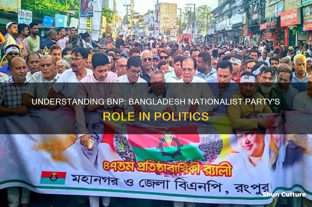 what does bnp stand for politics in bangladesh