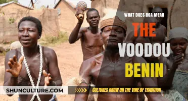 Unveiling the Mystique: Understanding 'Boa' in Benin's Voodoo Culture