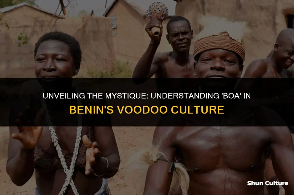 what does boa mean the voodou benin