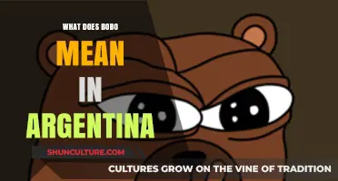 Exploring Argentine Slang: The Meaning and Usage of 'Bobo