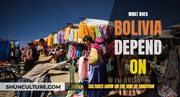 Bolivia's Economic Backbone: Exploring the Country's Key Dependencies