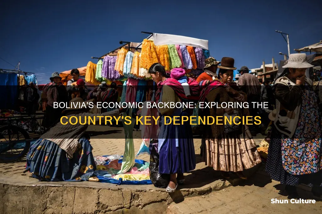 what does bolivia depend on