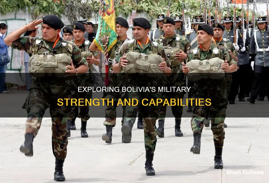 what does bolivia have for a military