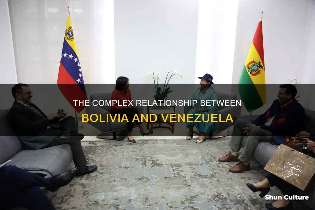 what does bolivia have to do with venezuela