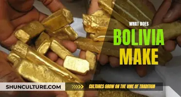 The Rich Resources of Bolivia: Exploring Its Key Industries