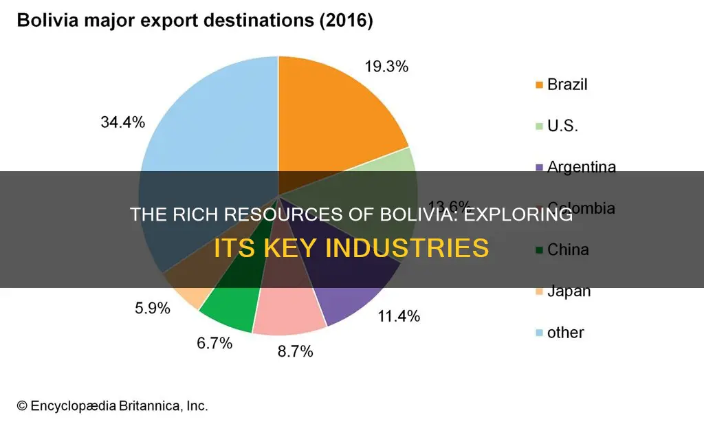 what does bolivia make