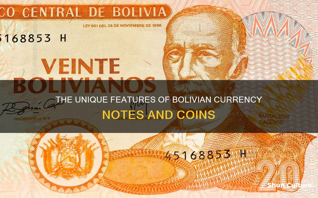 what does bolivian money look like