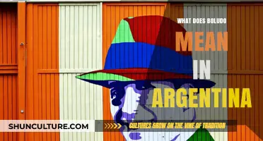 Understanding Boludo: A Dive into Argentine Slang and Culture