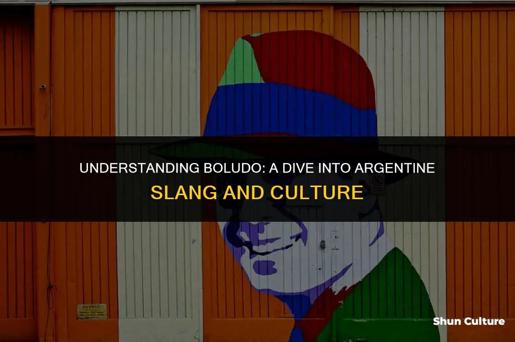what does boludo mean in argentina