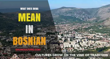 Understanding the Meaning of 'Bona' in Bosnian Language and Culture