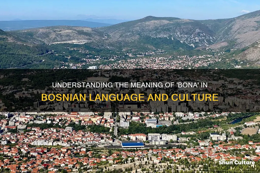 what does bona mean in bosnian