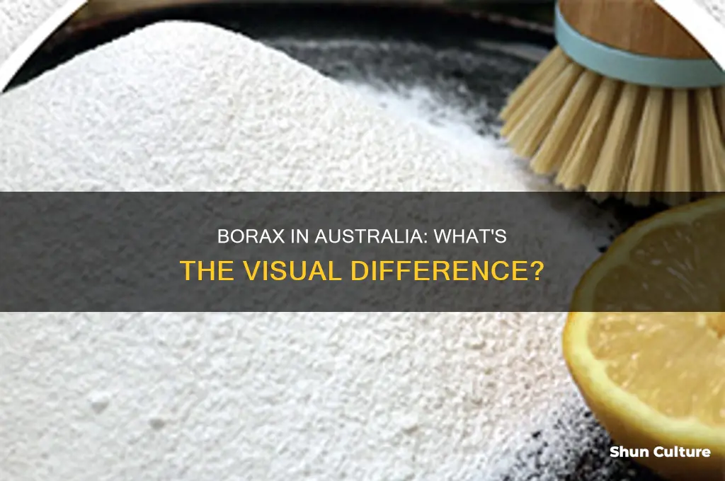 what does borax look like in australia