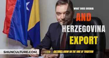 Bosnia and Herzegovina's Key Exports: Products, Industries, and Global Trade Insights