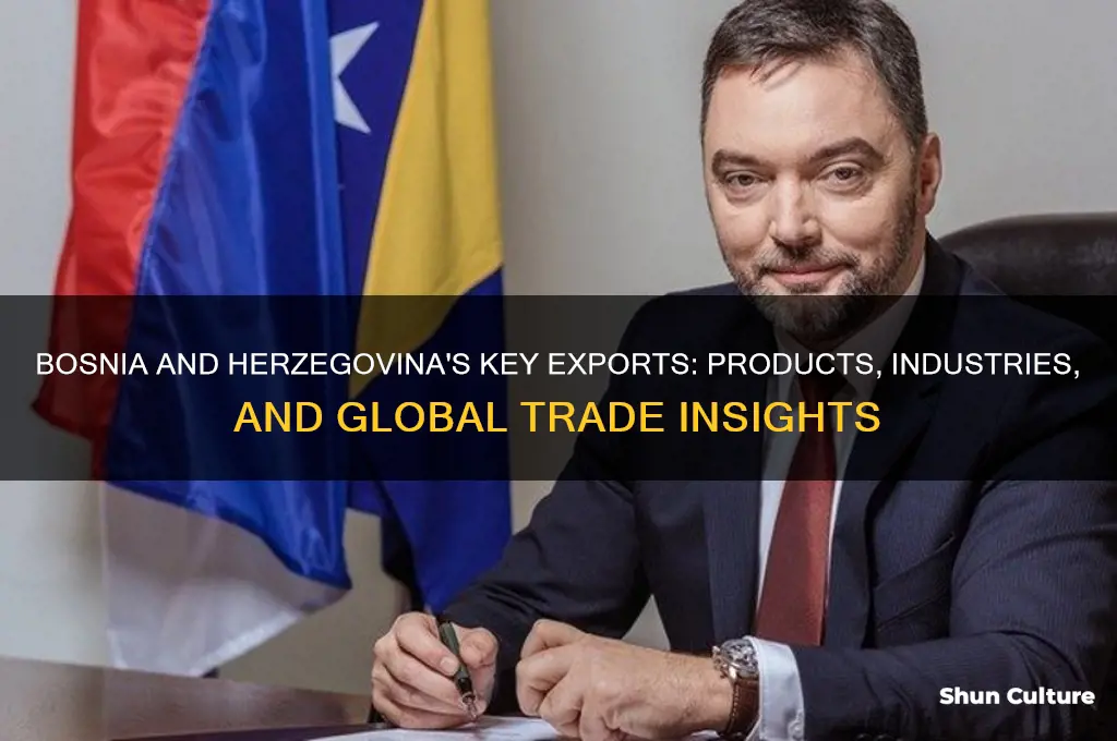 what does bosnia and herzegovina export
