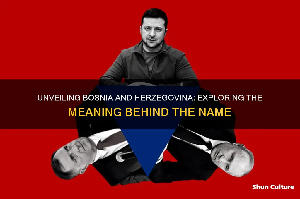 what does bosnia and herzegovina mean