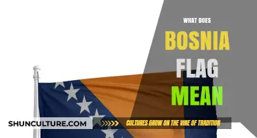 Understanding the Symbolism Behind Bosnia's Flag: Colors, History, and Meaning
