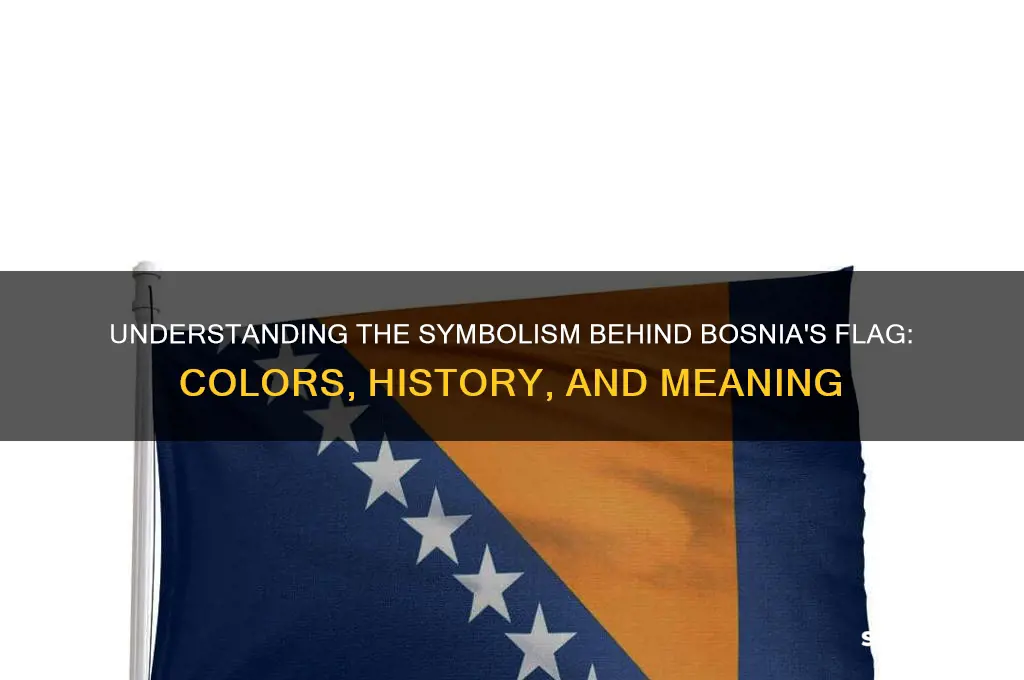 what does bosnia flag mean