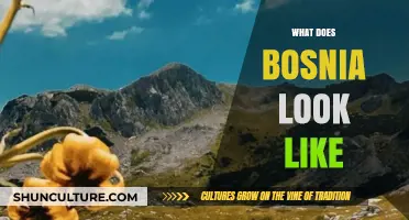 Exploring Bosnia's Stunning Landscapes, Rich Culture, and Historic Charm