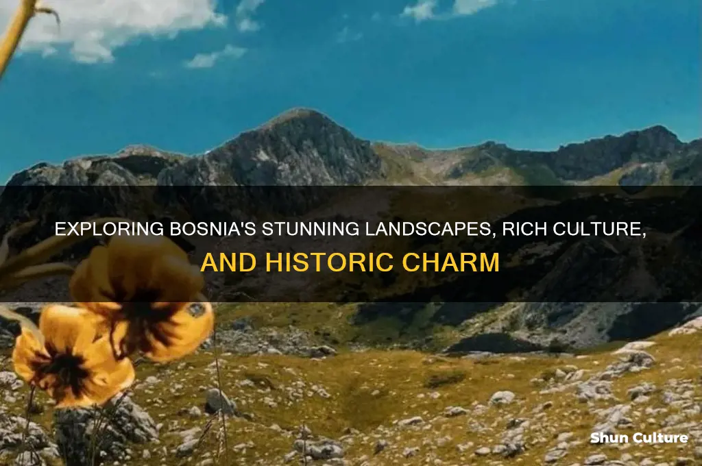 what does bosnia look like