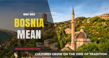 Unveiling Bosnia's Etymology: Exploring the Meaning and Origins of the Name