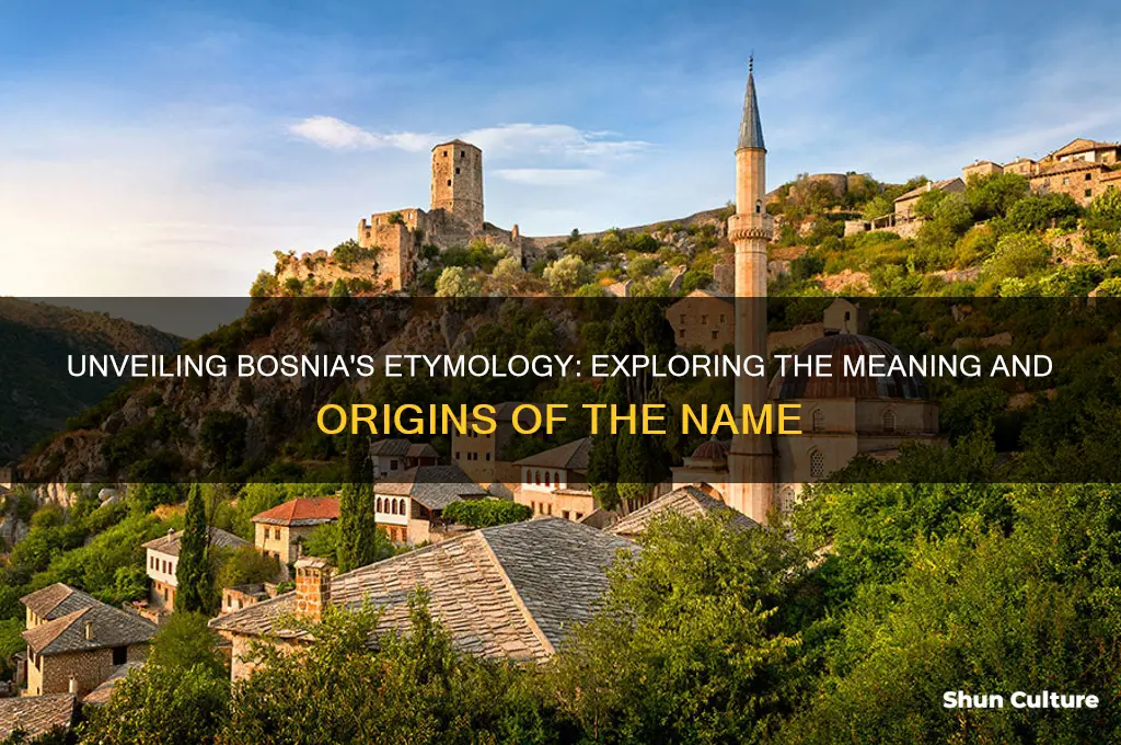 what does bosnia mean