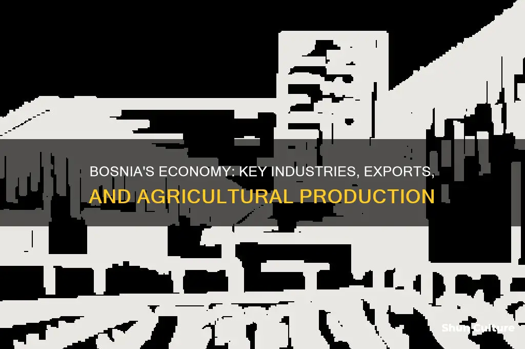 what does bosnia produce