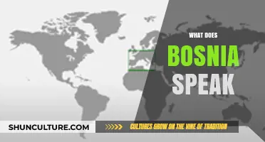 What Language Do They Speak in Bosnia? A Comprehensive Guide