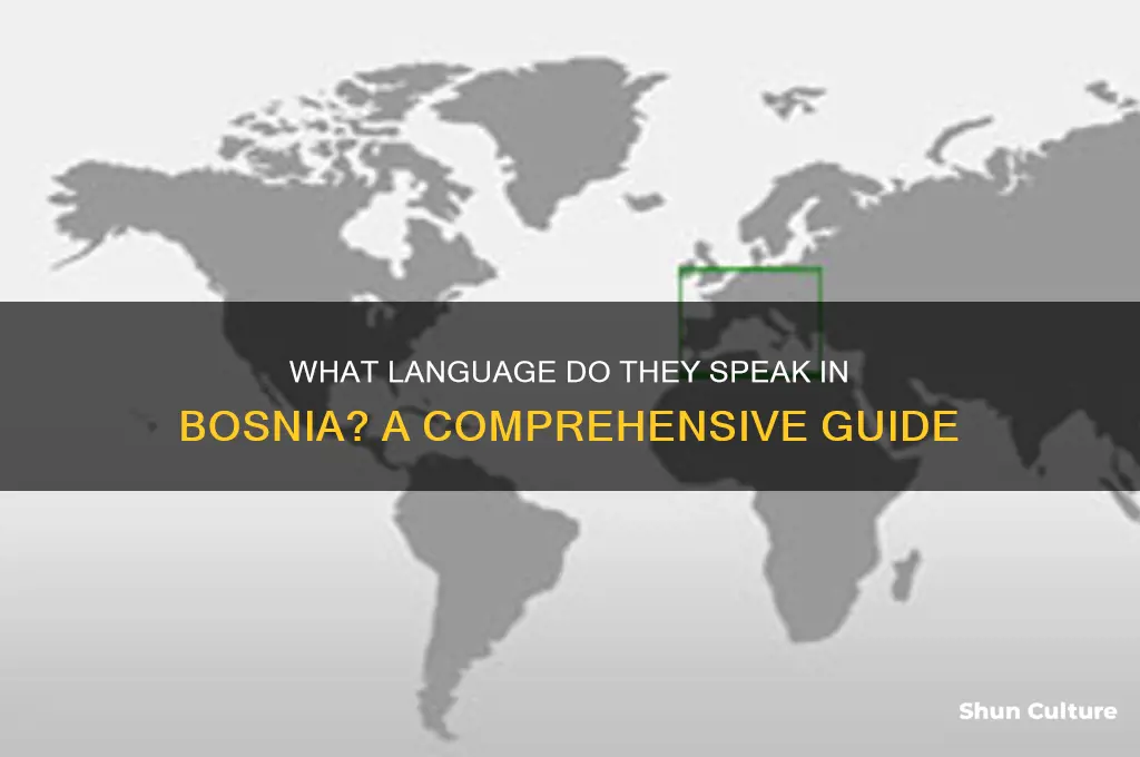 what does bosnia speak