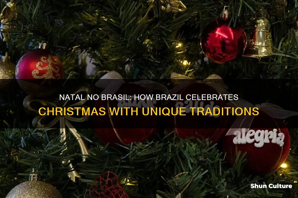what does brazil call christmas