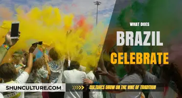 Exploring Brazil's Vibrant Festivals and Cultural Celebrations: What Does Brazil Celebrate?