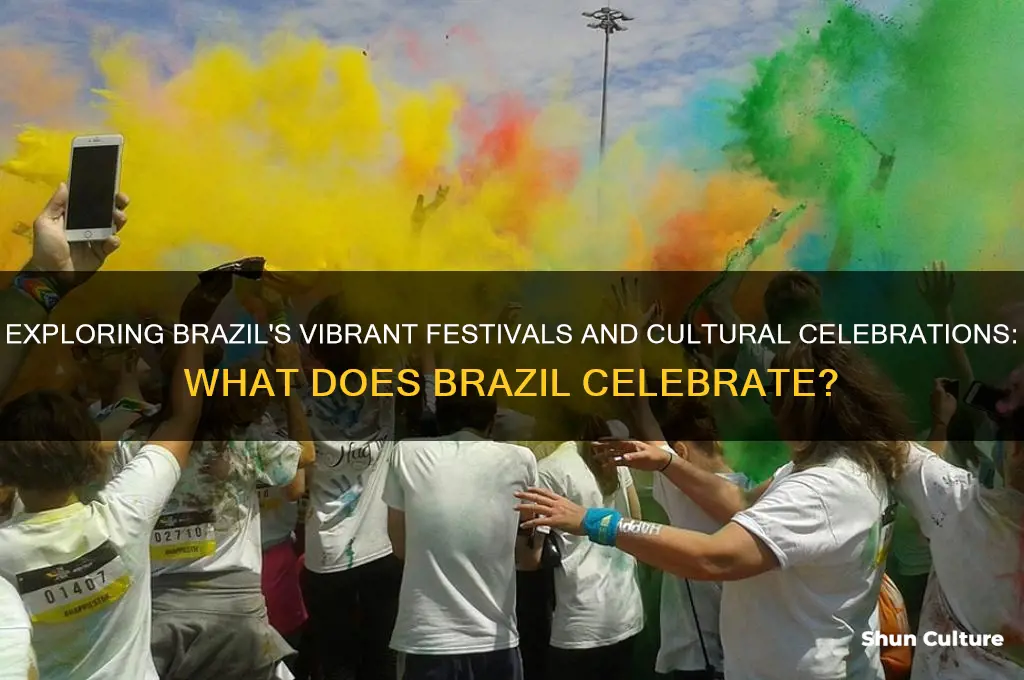 what does brazil celebrate