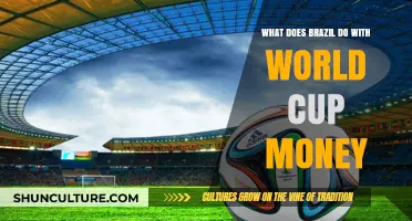 Brazil's World Cup Profits: Where Does the Money Go?