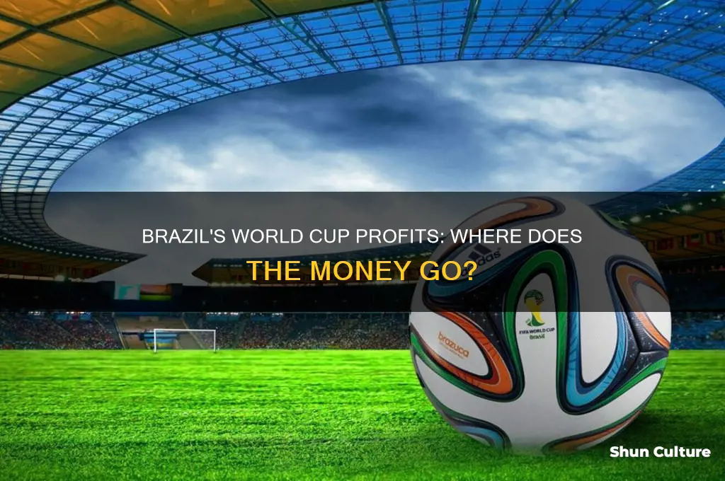 what does brazil do with world cup money
